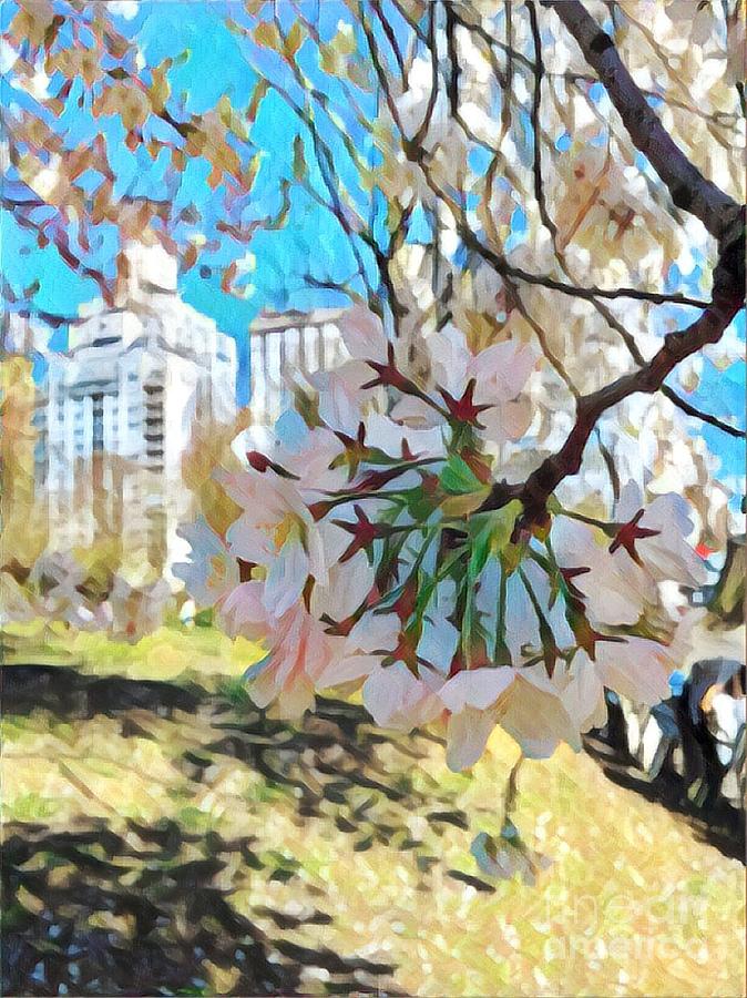 Cheery Cherry Tree - Central Park in Spring Photograph by Miriam Danar