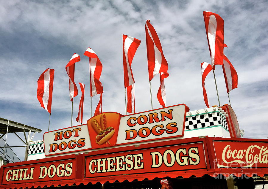 Cheese Dogs Galore Photograph by Alice Terrill