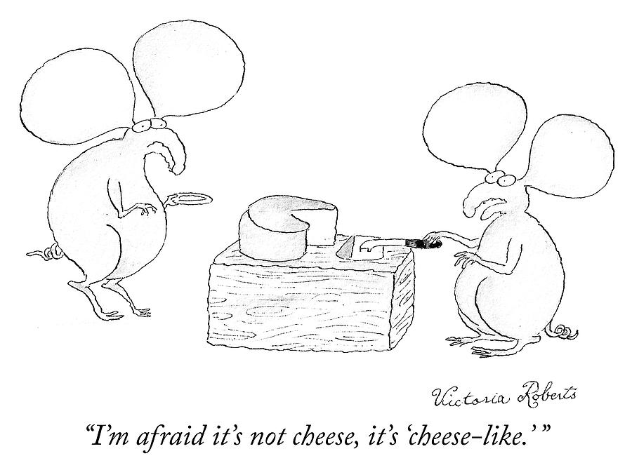 Cheese Like Drawing by Victoria Roberts