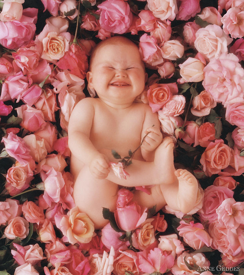 Cheesecake Photograph by Anne Geddes