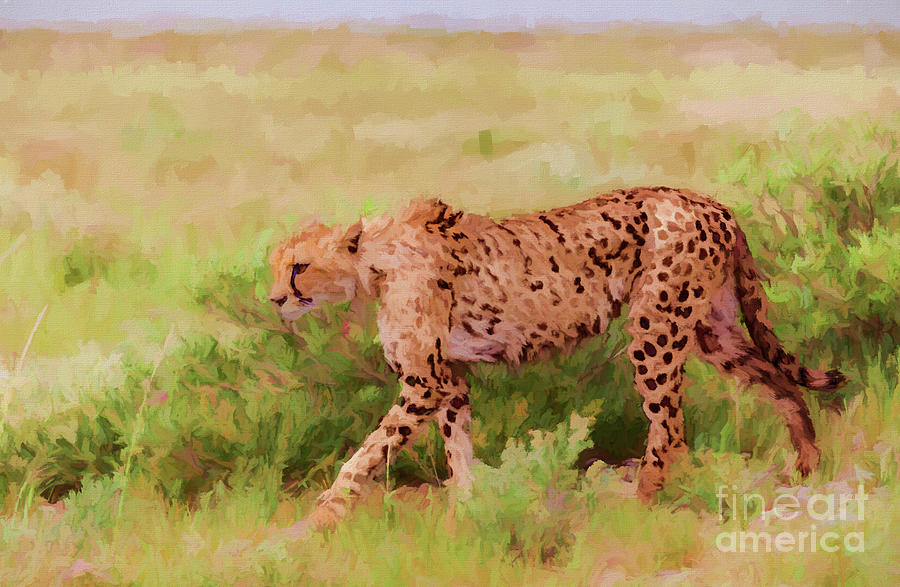 Cheetah Acinonyx jubatus Etosha NP Namibia Digital Art by Liz Leyden
