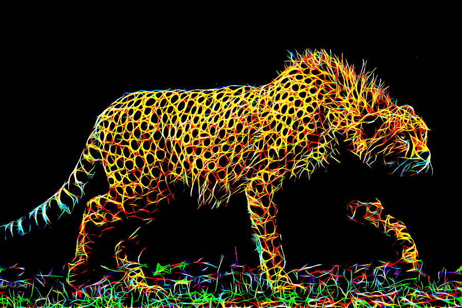 Dc - The Cheetah Digital Art by Brand A - Pixels
