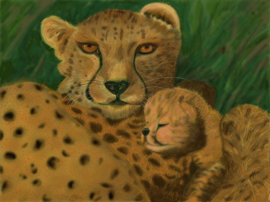 Cheetah And Her Cub Drawing by Suanne Forster