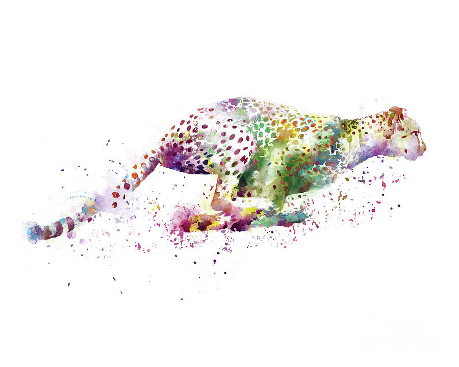 Animal Mixed Media - Cheetah by Monn Print