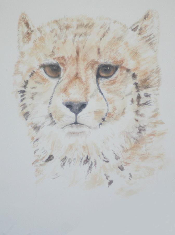 Cheetah Cushion Painting by David Capon Cheetah Cushion Painting by David Capon