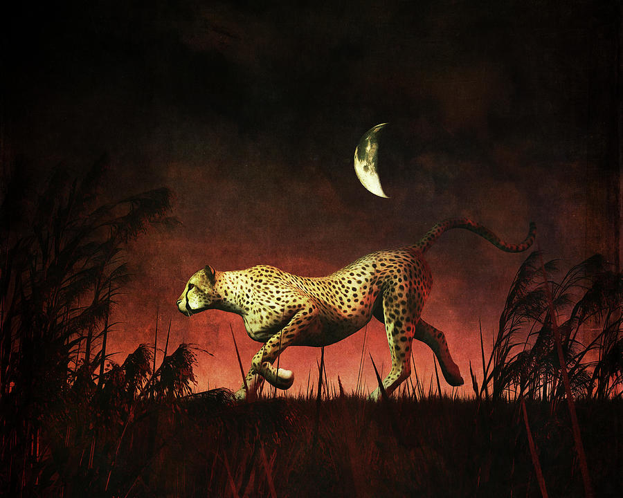 Cheetah hunting during the African night Painting by Jan Keteleer