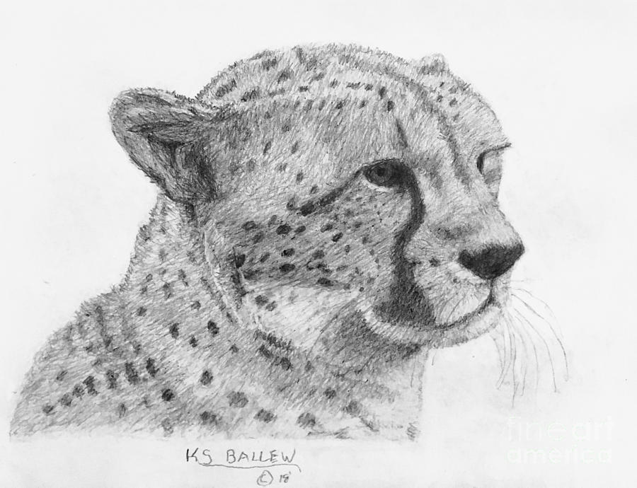 How to draw a Cheetah (Cartoon) - YouTube | Cheetah cartoon, Cartoons  youtube, Cheetah