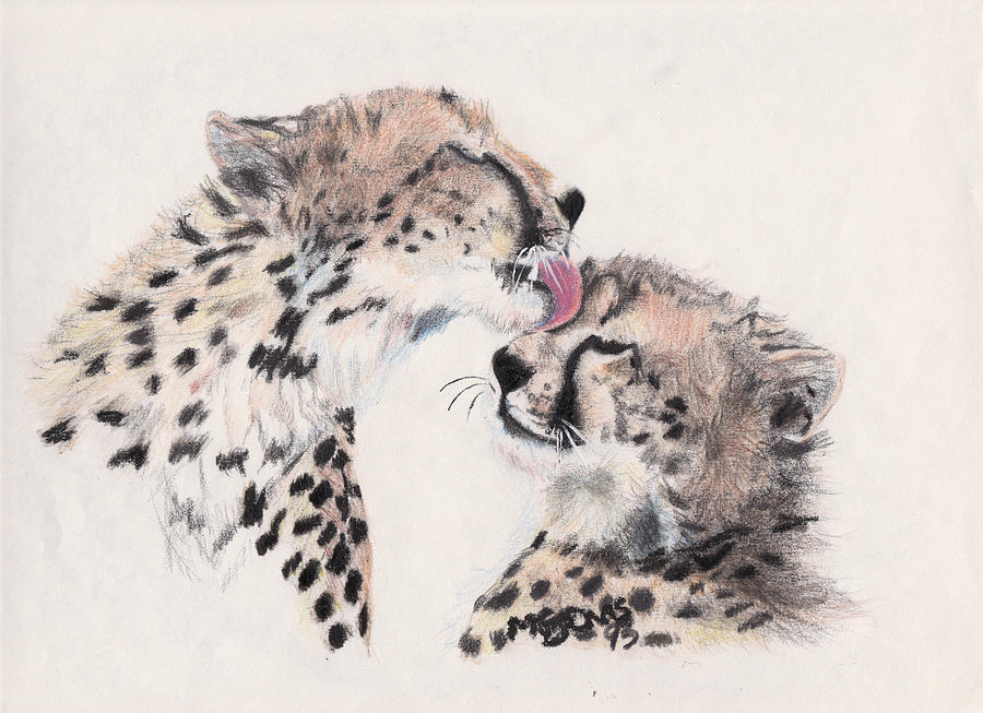 Cheetah Drawing - Cheetah Love by Marqueta Graham