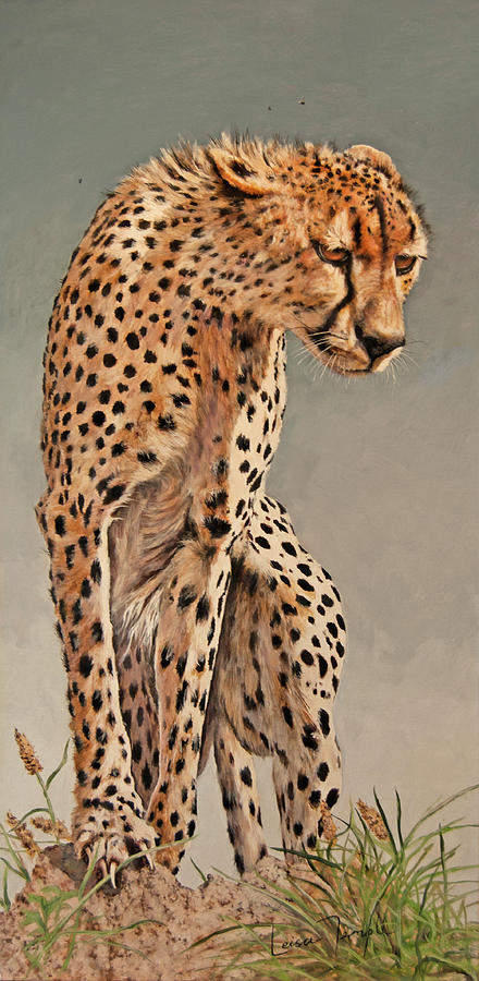 Cheetah Painting - Focus by Leisa Temple