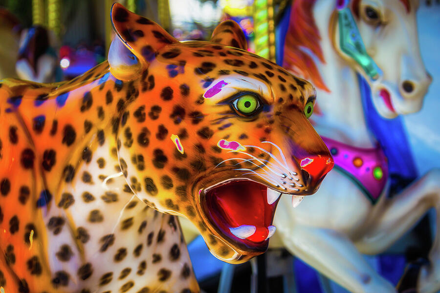 Cheetah Ride Photograph by Garry Gay