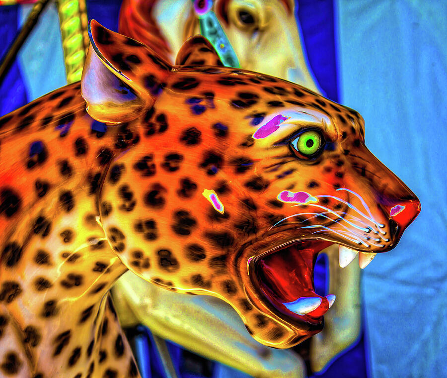 Cheetah Ride Portrait Photograph by Garry Gay