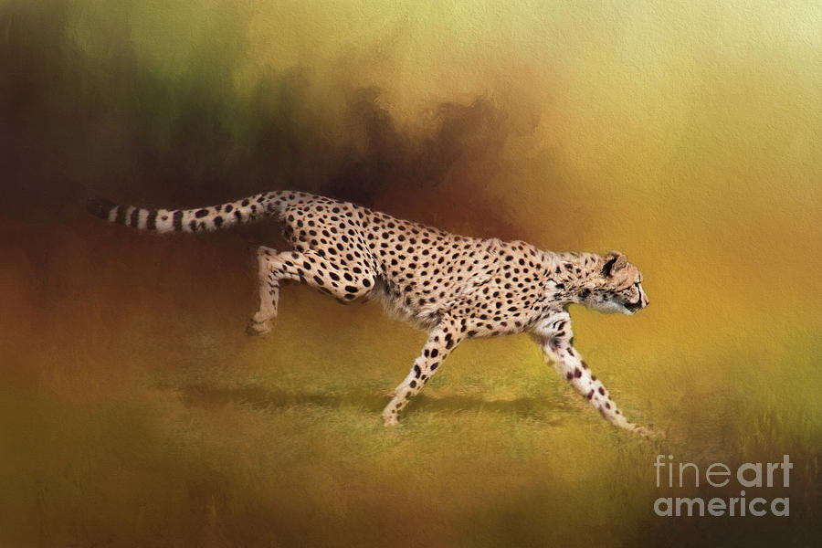 Cheetah Running Digital Art by Sharon McConnell