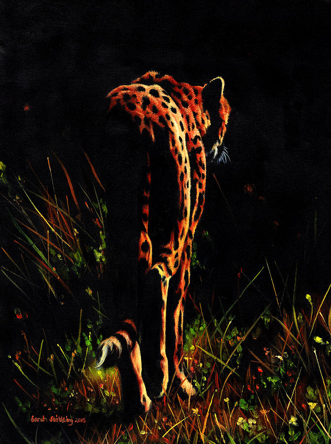 Wildlife Painting - Cheetah  by Sarah Stribbling