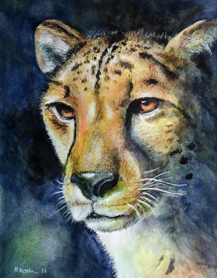 Cheetah Watercolor Painting by Rick Mosher