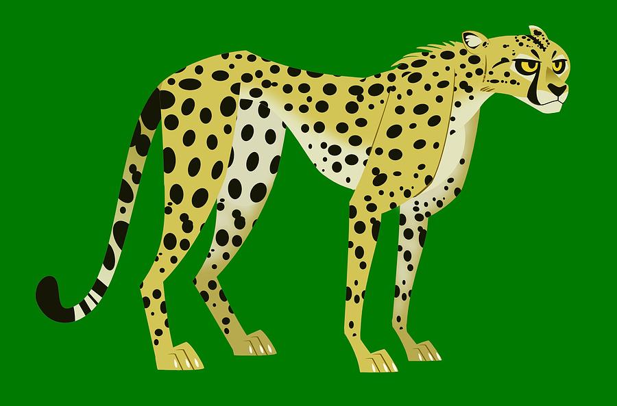 Wild Kratts Cheetah Drawing