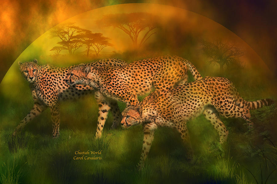 Cheetah Mixed Media - Cheetah World by Carol Cavalaris
