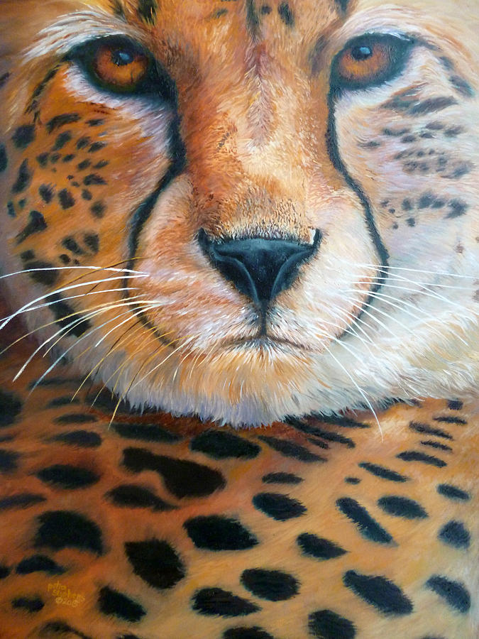 Cheetah2 Painting by Petra Stephens