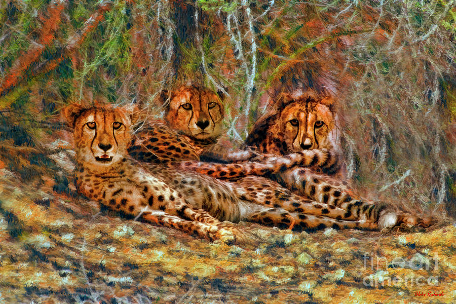 Cheetahs Den Photograph by Blake Richards