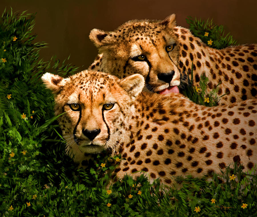 Cheetahs  Digital Art by Thanh Thuy Nguyen