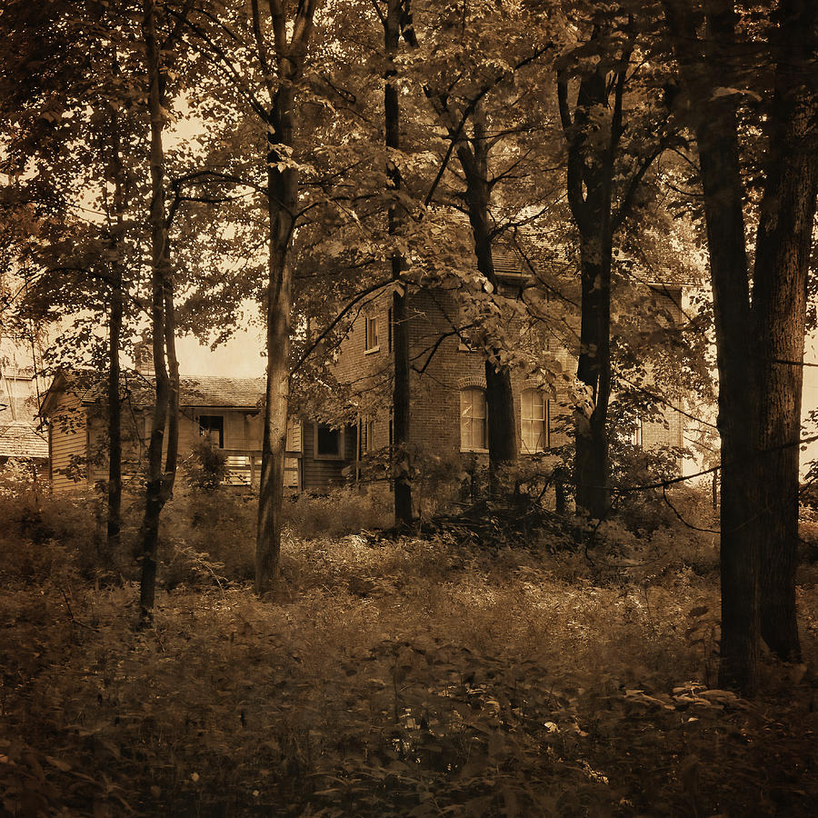 Chellburg Home Through the Trees Photograph by Scott Kingery