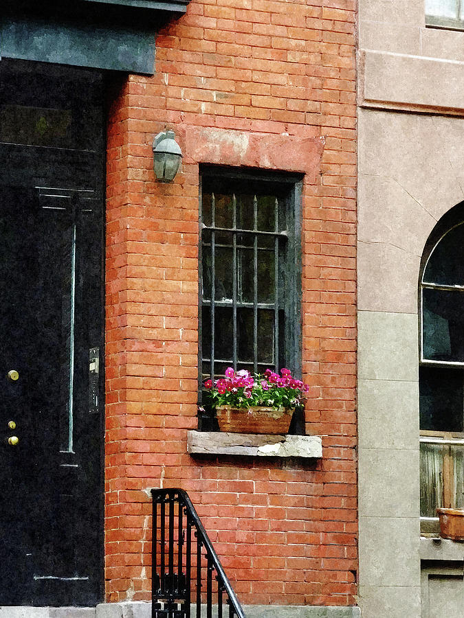 Chelsea Windowbox Photograph by Susan Savad Chelsea Windowbox Photograph by Susan Savad