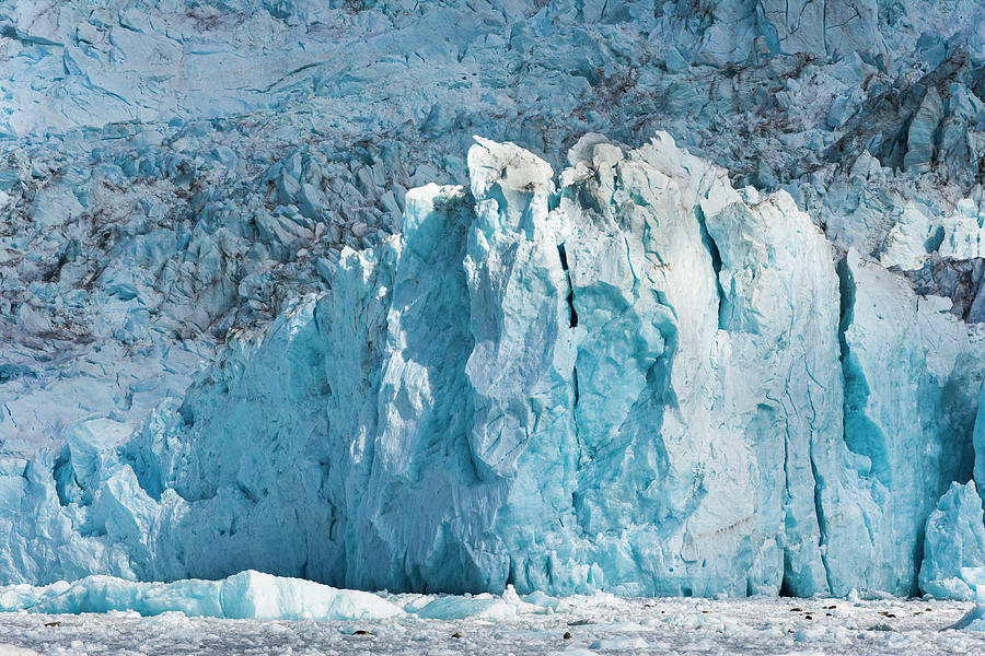 Chenega Glacier Photograph by Patrick Endres - Fine Art America