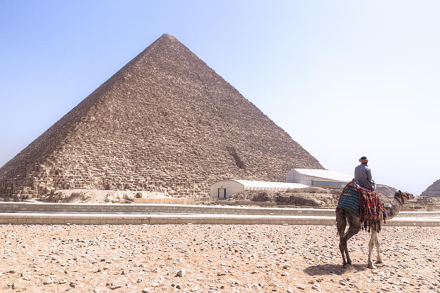 Camel Photograph - Cheops Pyramid - Egypt by Joana Kruse