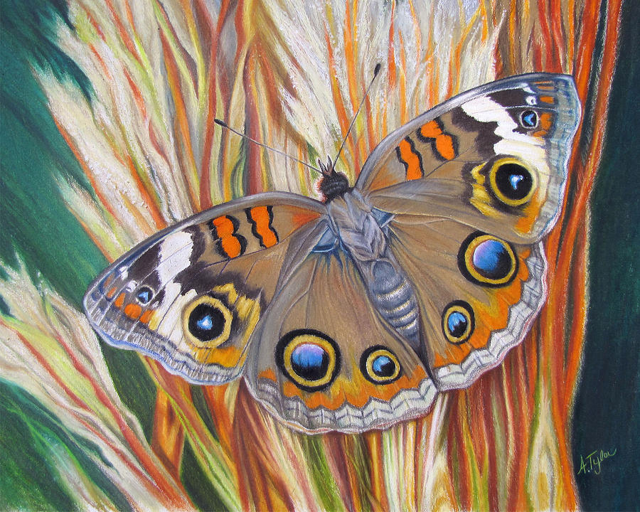 Butterfly Painting - Cherished by Amy Tyler