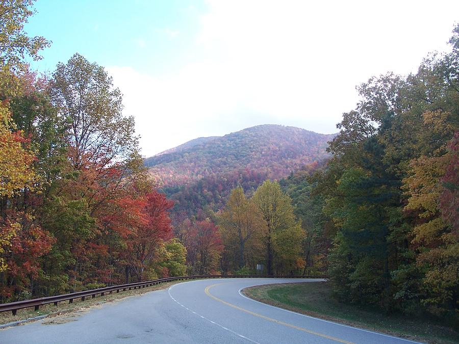 Cherohala Skyway Photograph by Marie Morris | Fine Art America