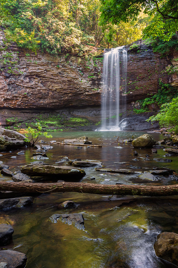 Waterfall Photograph - Cherokee Falls - Cloudland State Park Georgia by Brian Harig