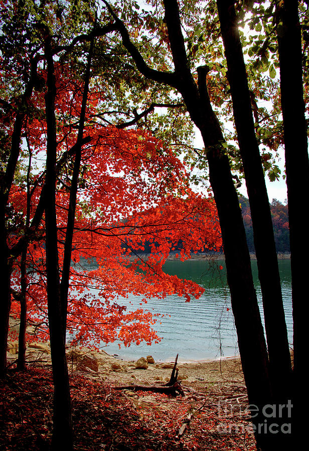 Cherokee Lake Color Photograph by Douglas Stucky