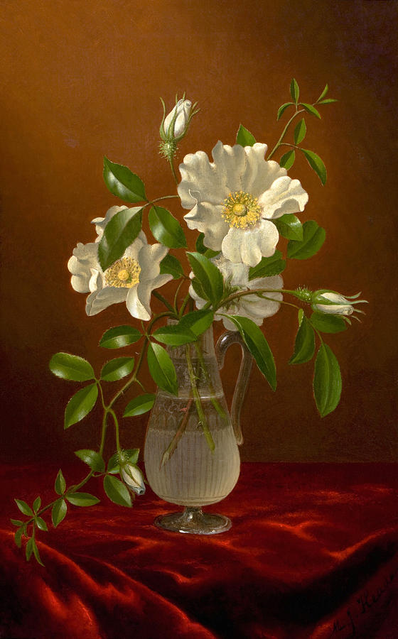 Cherokee Roses in a Glass Vase Painting by Martin Johnson Heade
