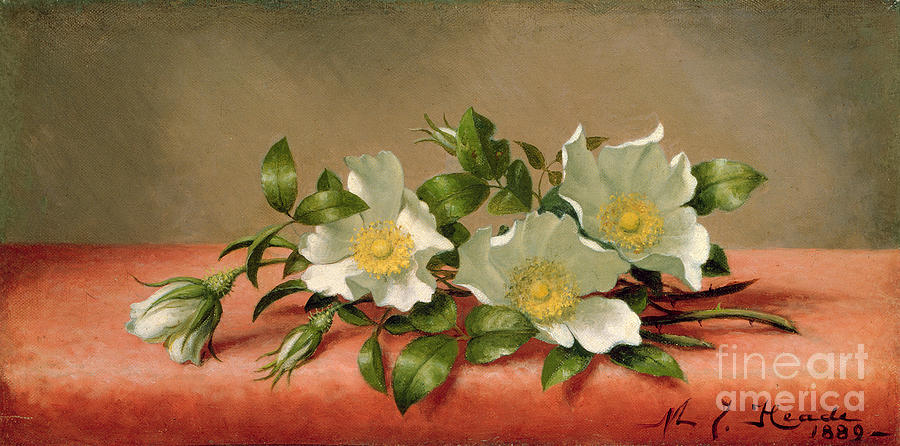 Still Life Painting - Cherokee Roses by Martin Johnson Heade