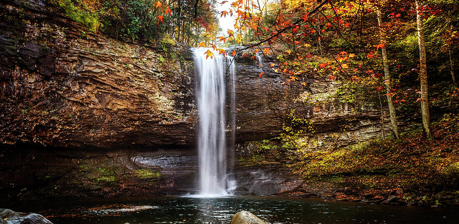 Cherokee Waterfall in Cloudland Canyon Photograph by Debra and Dave Vanderlaan