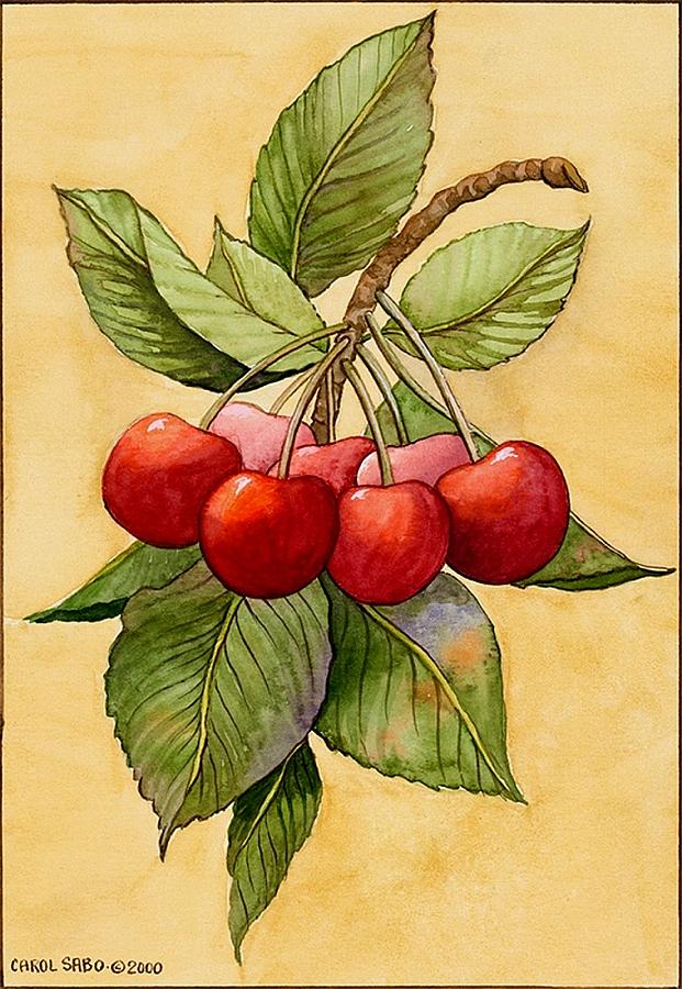 Cherries Painting by Carol Sabo