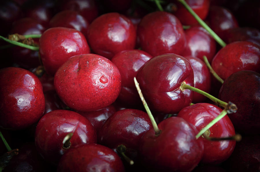 Summer Photograph - Cherries - Sweet Treats by Cathy Mahnke
