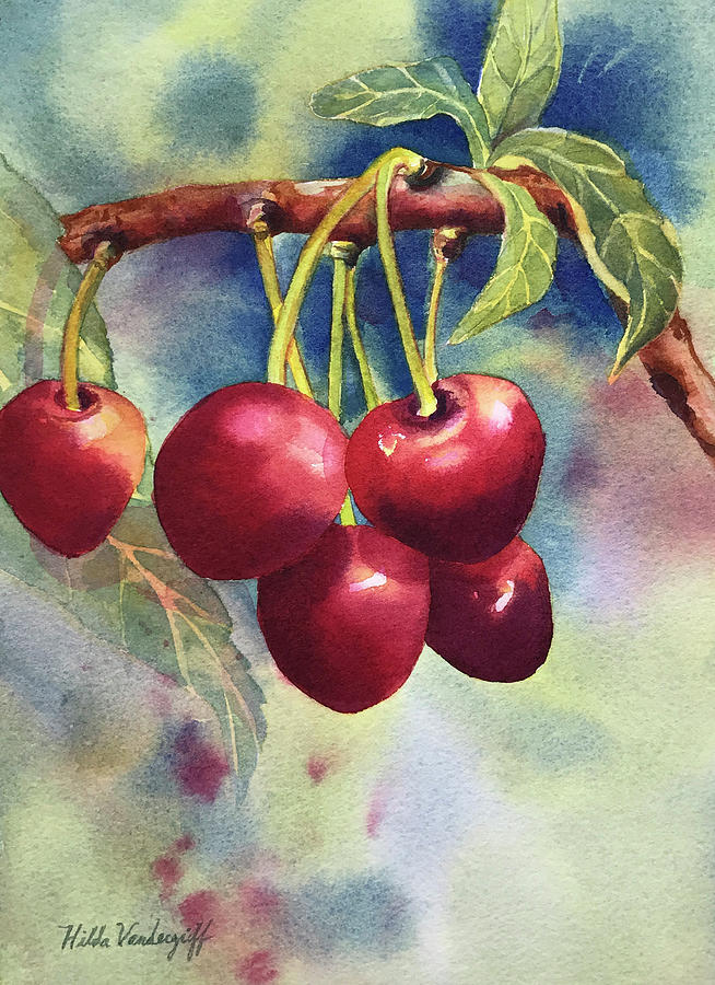 Cherries Painting by Hilda Vandergriff