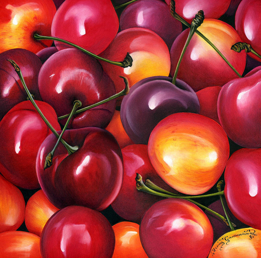 Cherries Photograph - Cherries by MGL Meiklejohn Graphics Licensing Cherries Photograph - Cherries by MGL Meiklejohn Graphics Licensing