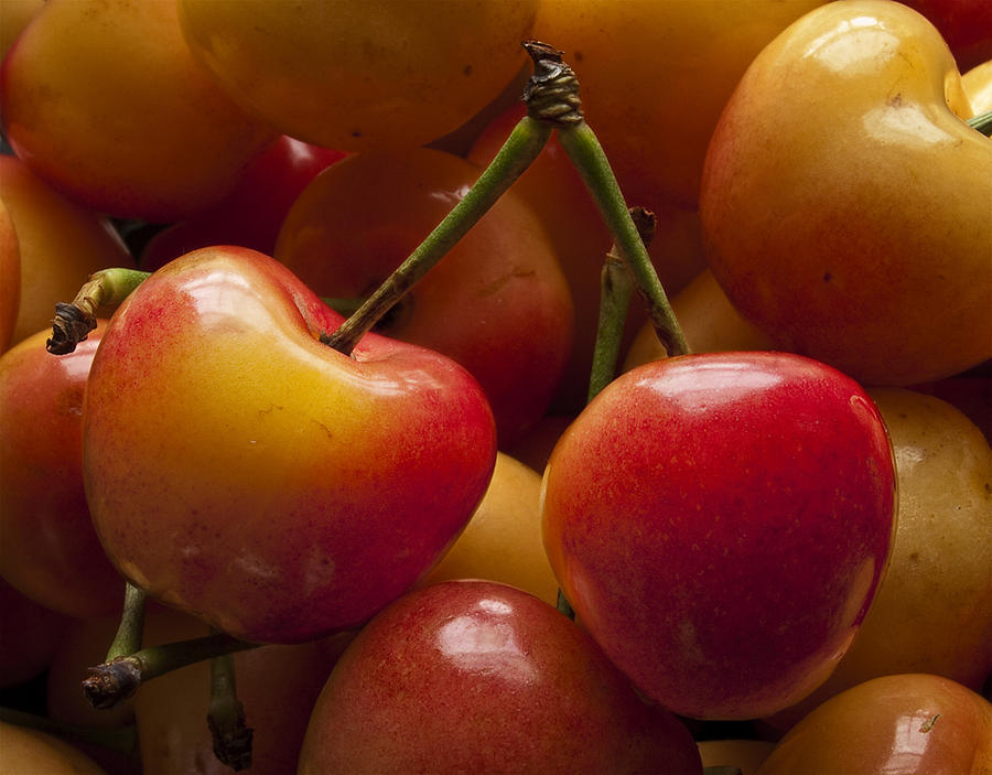 Cherries Photograph by Robert Ullmann