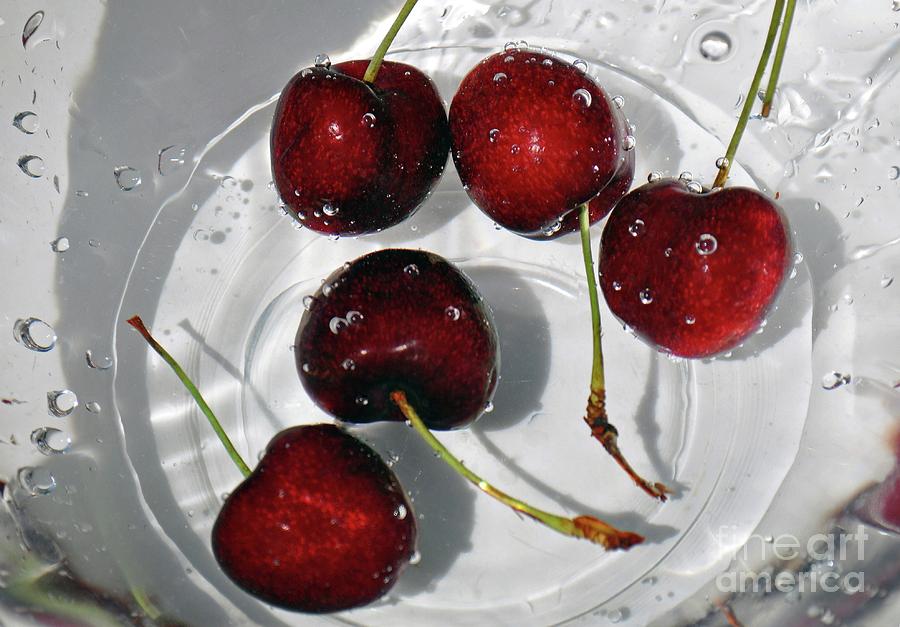 Cherries Photograph by Savannah Gibbs