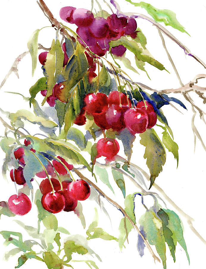 Cherries Painting by Suren Nersisyan
