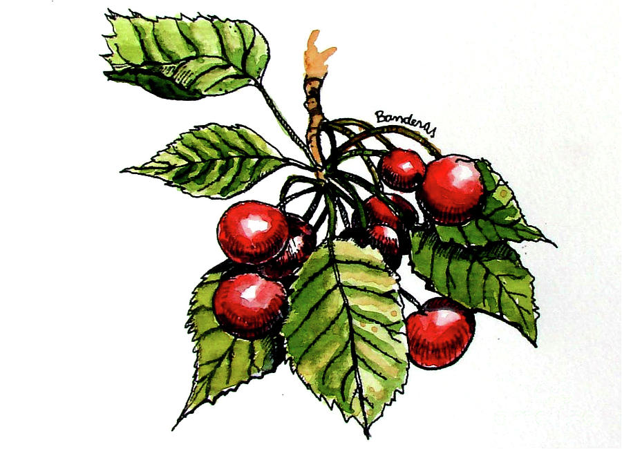 Cherries Painting by Terry Banderas