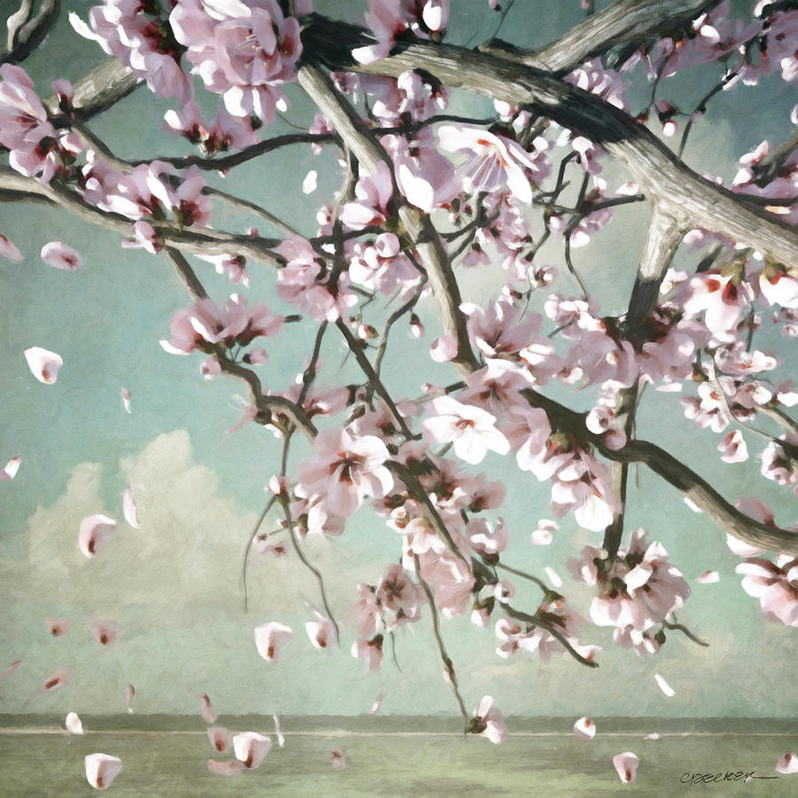 Cherry Blossom Digital Art by Cynthia Decker