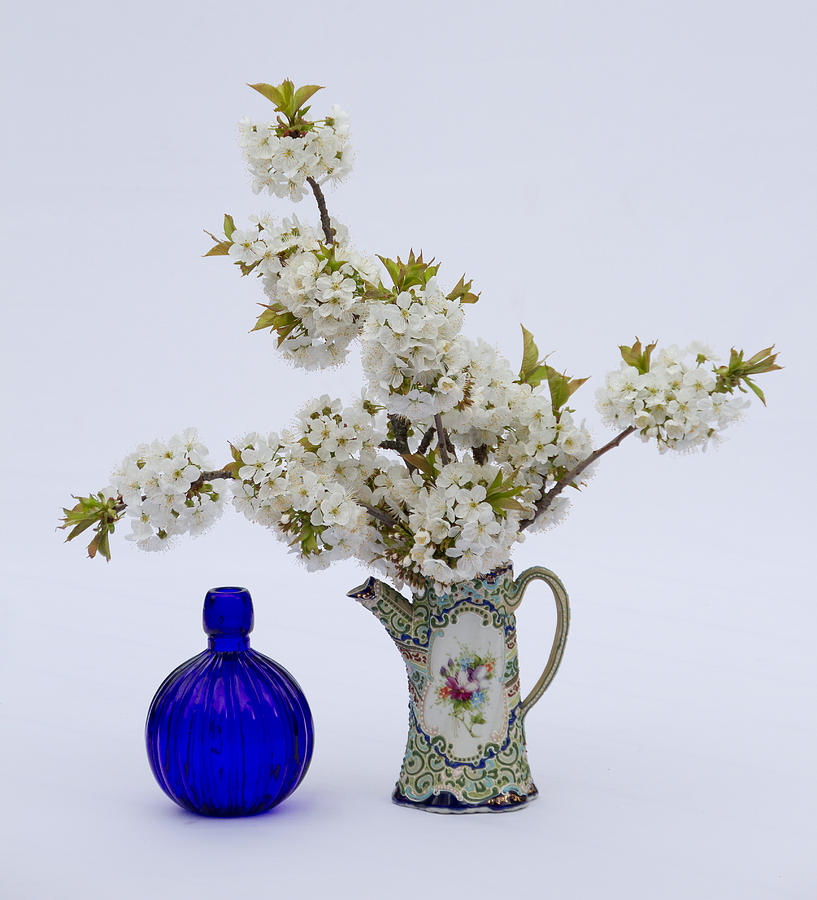 Cherry blossom and blue bottle Photograph by Marzena Grabczynska Lorenc