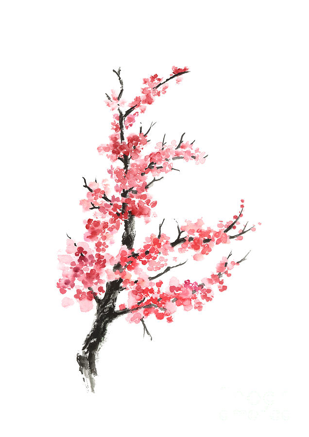 Cherry Blossom Branch Watercolor Poster Painting by Joanna Szmerdt