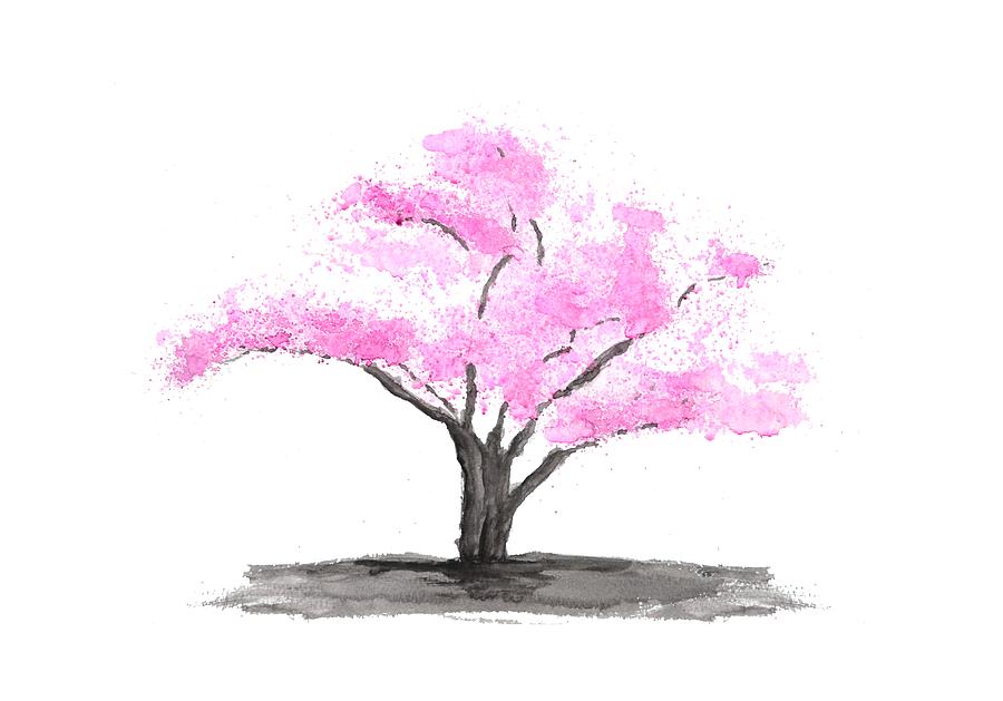 Cherry Blossom Painting by Color Color