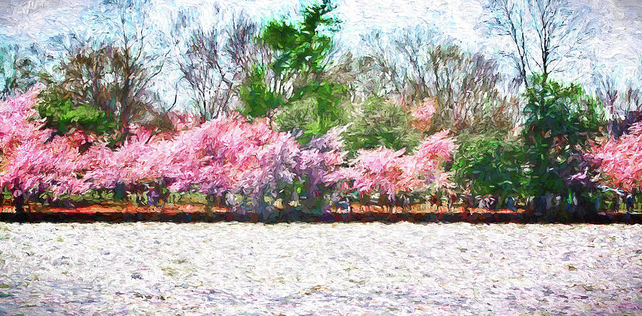 Cherry Blossom Day Photograph by Reynaldo Williams