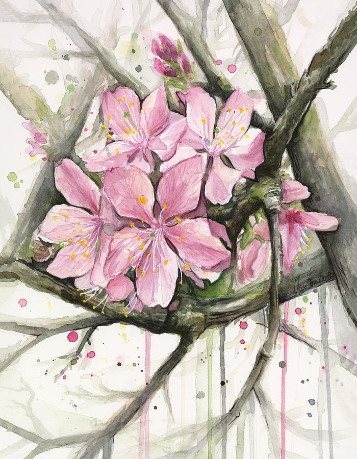 Spring Painting - Cherry Blossom by Olga Shvartsur