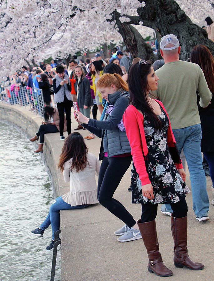Cherry Blossom People Photograph by Cora Wandel
