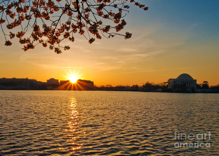 Cherry Blossom Sunrise Photograph by Don Allen